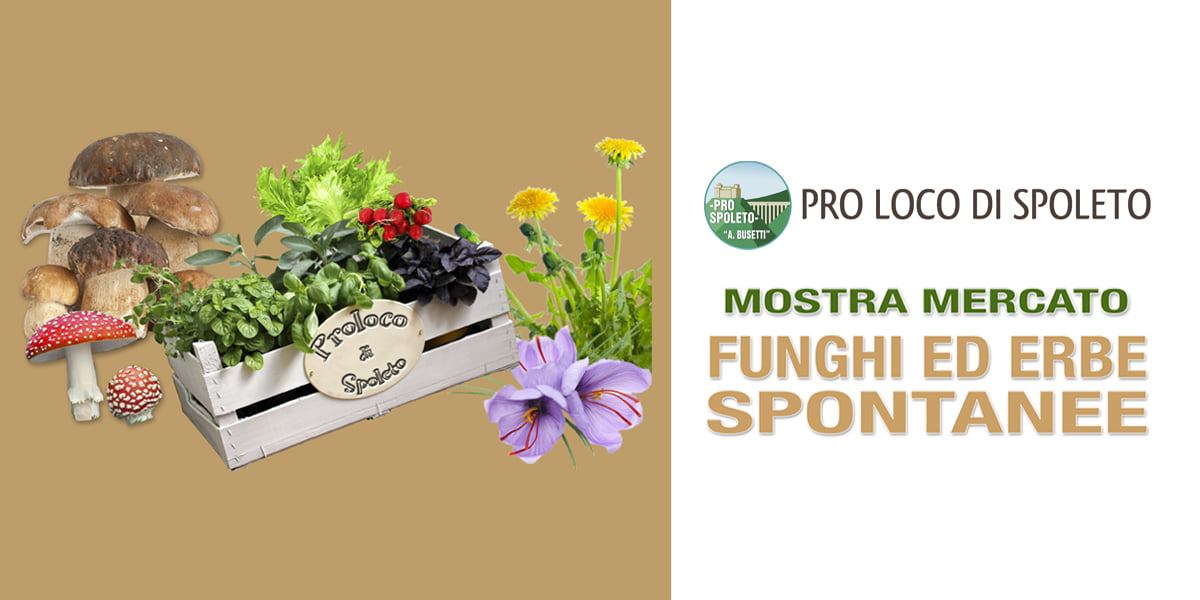 Mostra Mercato dei funghi e delle erbe spontanee